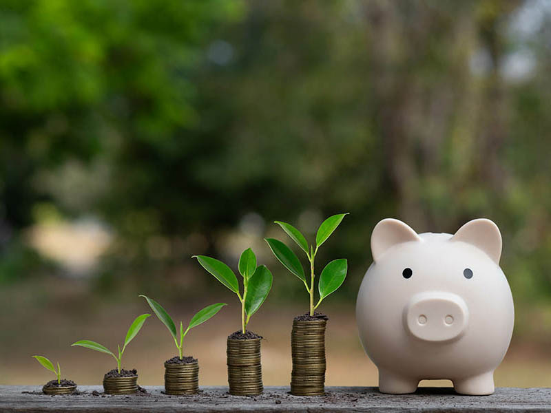 Formatrice en gestion de patrimoine